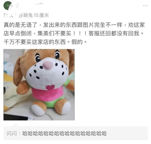 网购奇谭 下单兔子收到狗，“神兔网络”背后的乌龙与警示