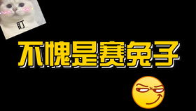 赛兔子永为神话——论神兔网络的生态情怀与狂飙基因